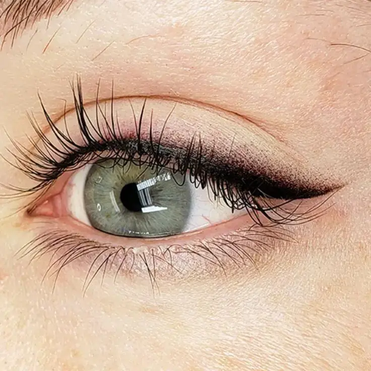 micropigmentacion de ojos 
